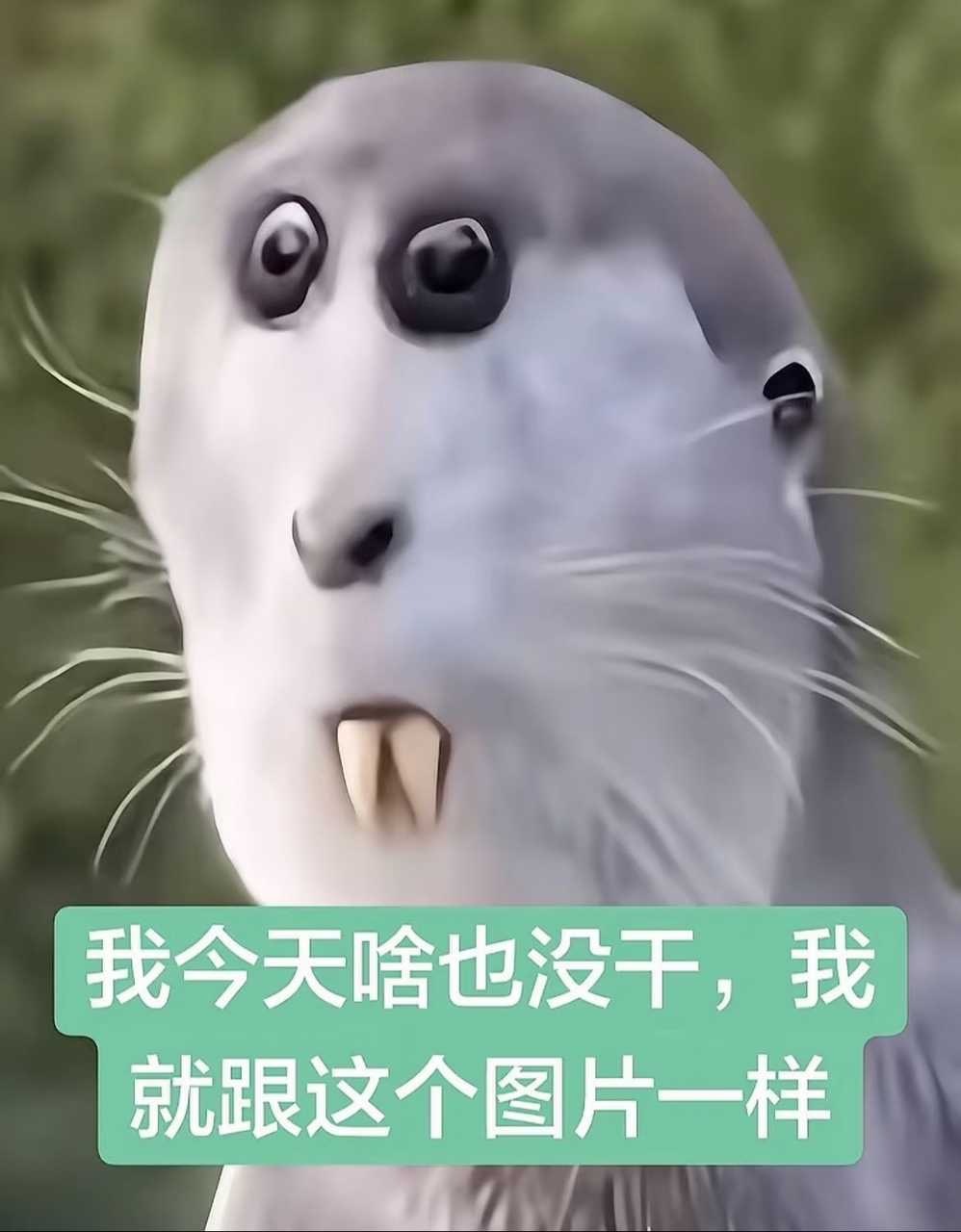 帖子图片