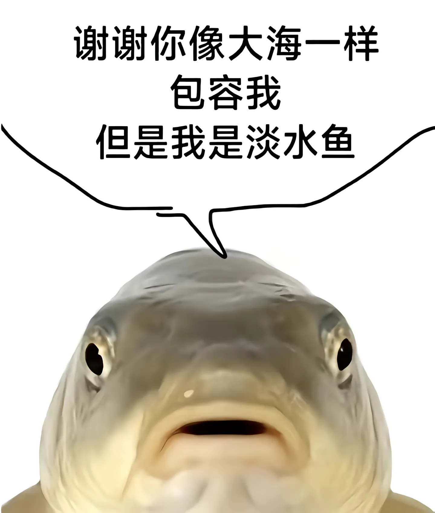 帖子图片