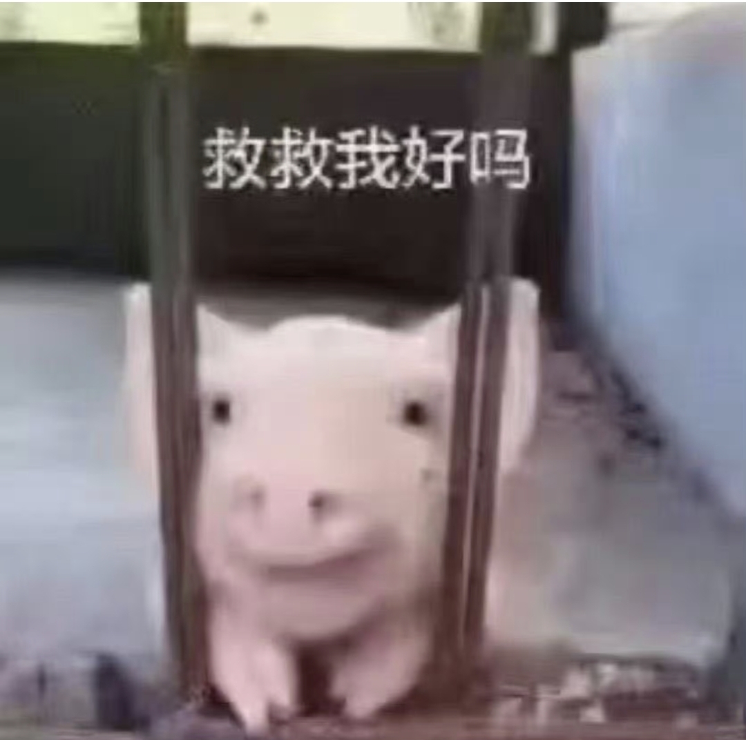 帖子图片