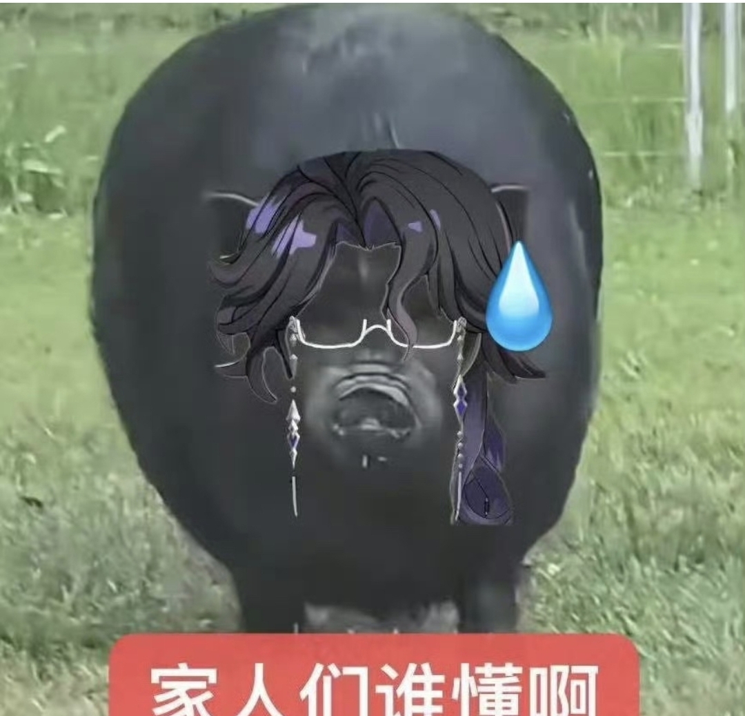 帖子图片